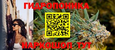 дурь Заводоуковск