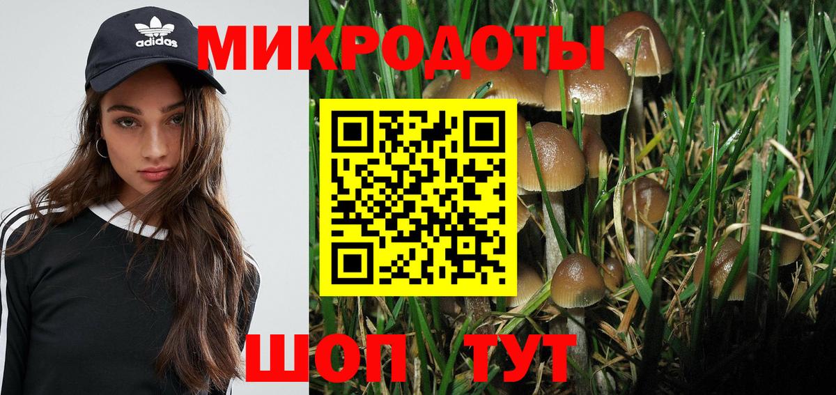 Менделеевск  Псилоцибиновые грибы мицелий  Вход с VPN 